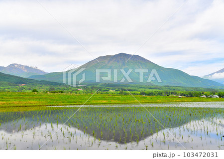 長野県信濃町大井より黒姫山方面を望む(長野県信濃町)【2023.5】 103472031
