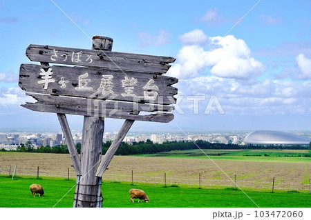 さっぽろ羊ヶ丘展望台から風景 103472060