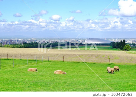さっぽろ羊ヶ丘展望台から風景 さっぽろ羊ヶ丘展望台から風景 103472062