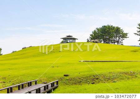 青森県八戸市 種差海岸 種差天然芝生地 青森県八戸市 種差海岸 種差天然芝生地 103472077