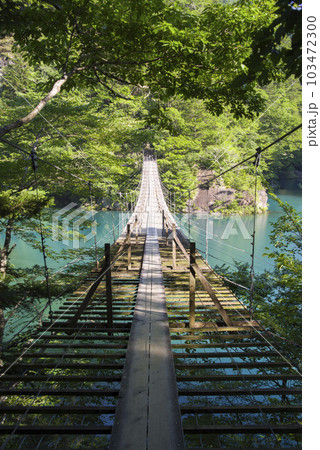 新緑の寸又峡 103472300