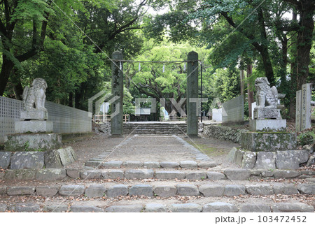 伊曾乃神社、参道（社務所手前） 103472452