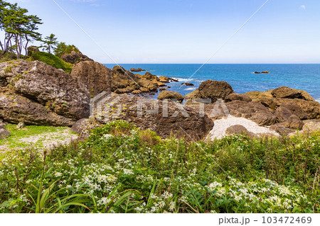 青森県八戸市　種差海岸 103472469
