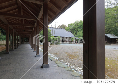伊曾乃神社、回廊から見る拝殿 103472479