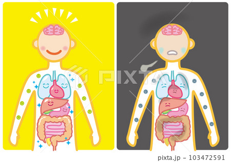 身体健康不調_内臓 103472591