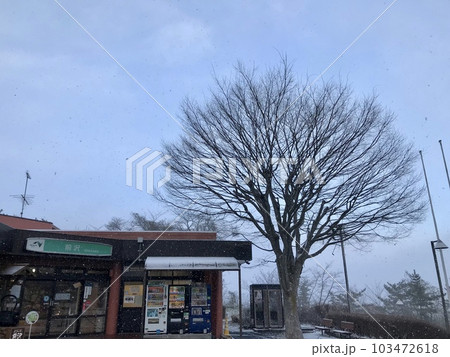 前沢サービスエリア 103472618