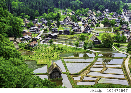 岐阜県 白川郷合掌造り集落 城跡展望台からの風景 世界遺産 岐阜県 白川郷合掌造り集落 城跡展望台からの風景 世界遺産 103472647