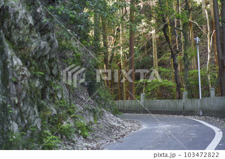狸谷山不動院へ向かう山道(京都市左京区一乗寺) 狸谷山不動院へ向かう山道(京都市左京区一乗寺) 103472822