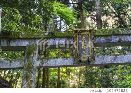 狸谷山不動院 参道入口 鳥居 扁額(京都市左京区一乗寺) 狸谷山不動院 参道入口 鳥居 扁額(京都市左京区一乗寺) 103472828