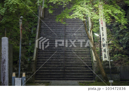 狸谷山不動院　長い石段の参道（京都市左京区一乗寺） 103472836