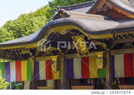 狸谷山不動院　本堂（京都市左京区一乗寺） 103472874