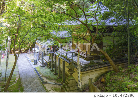 狸谷山不動院 弘法大師 光明殿(京都市左京区一乗寺) 狸谷山不動院 弘法大師 光明殿(京都市左京区一乗寺) 103472896