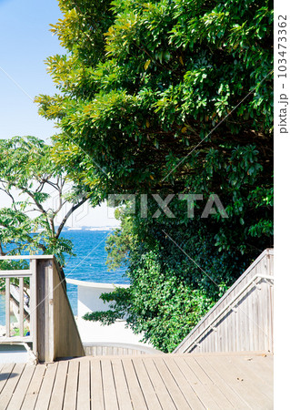 海の見えるテラス 103473362