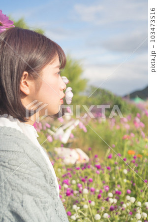 コスモス畑で座っている女性 103473516