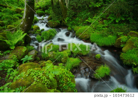 綺麗な水の流れ 綺麗な水の流れ 103473612