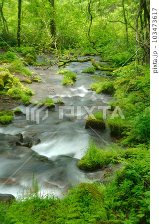 綺麗な水の流れ 綺麗な水の流れ 103473617
