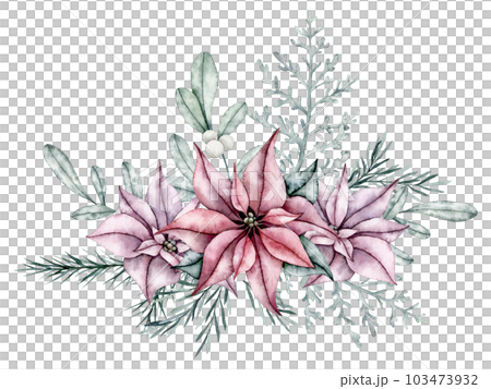Christmas bouquet of red poinsettia flower, silver plant Dusty Miller, snowberry, waxberry, or ghostberry and emerald spruce branch, pine twig, evergreen tree, fir, cedar. Hand painted watercolor Christmas bouquet of red poinsettia flower, silver plant Dusty Miller, snowberry, waxberry, or ghostberry and emerald spruce branch, pine twig, evergreen tree, fir, cedar. Hand painted watercolor 103473932