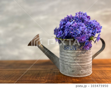 ジョウロとアジサイ ジョウロとアジサイ 103473950