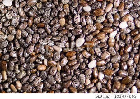 種 種子 タネ 103474965