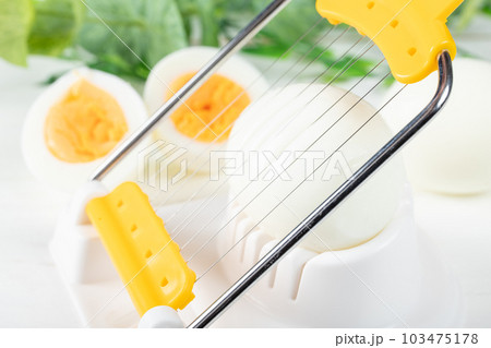 玉子を切る 103475178