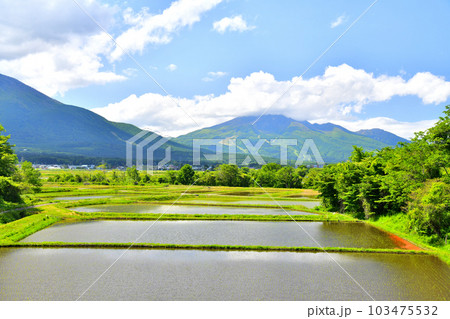 長野県信濃町古間より妙高山方面を望む(長野県信濃町)【2023.5】 103475532