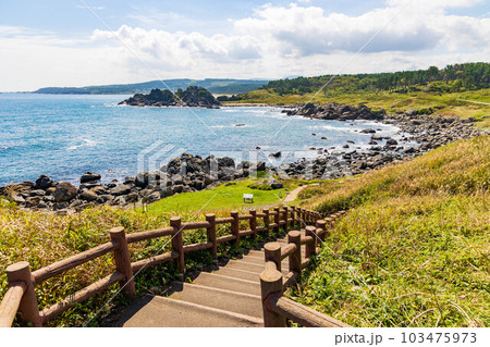青森県八戸市 種差海岸 中須賀の写真素材 [103475973] - PIXTA
