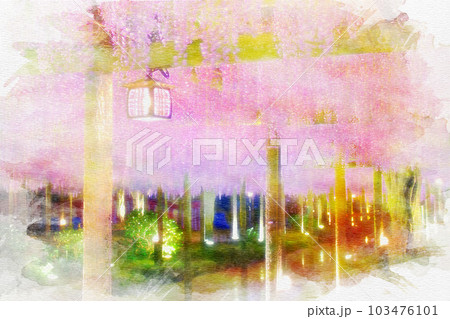 [愛知県]津島市天王川公園の藤棚 103476101