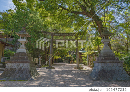 愛知 岡崎 六所神社の参道風景 愛知 岡崎 六所神社の参道風景 103477232