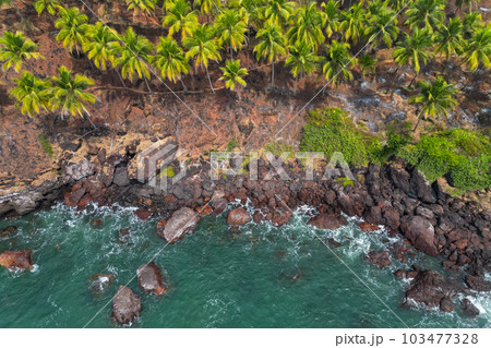 Aerial top view on tropical beach with green palm trees under sunlight Drone view in Goa 103477328