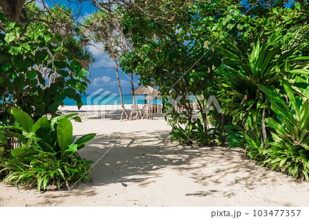 Luxury beach with plants, sand and quiet ocean. Tropical holiday banner Luxury beach with plants, sand and quiet ocean. Tropical holiday banner 103477357