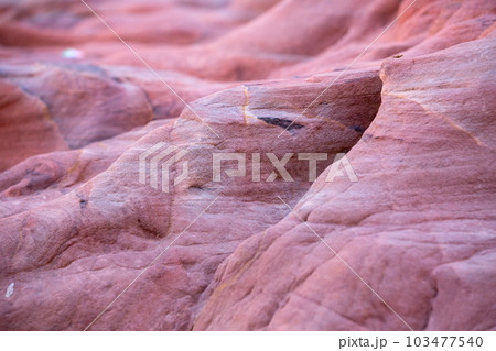 The Siq, wall texture, canyon of Petra, Jordan The Siq, wall texture, canyon of Petra, Jordan 103477540