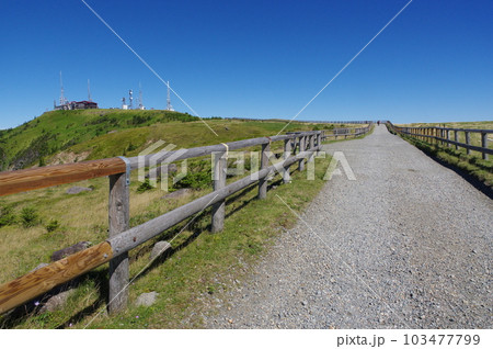 美ヶ原高原 王ヶ頭と美ヶ原牧場の遊歩道 103477799