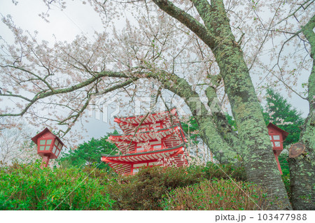 桜と塔 桜と塔 103477988