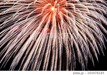 夜空を飾る大花火（戸田橋・板橋花火大会） 103478185