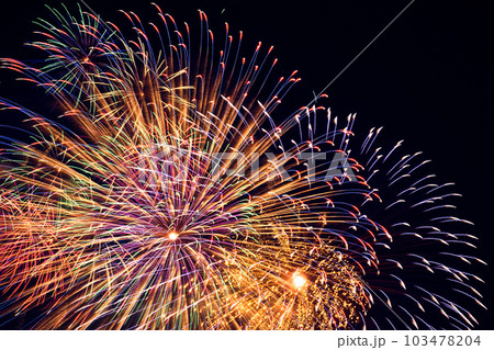 夜空を飾る大花火（戸田橋・板橋花火大会） 103478204