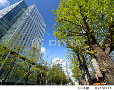 札幌市北3条広場　北海道 103478444