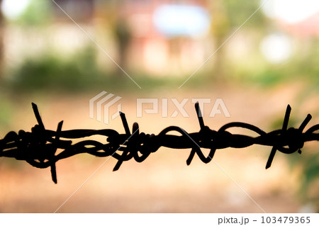 Barbed wire close up with sunshine. Shallow DOF. Barbed wire close up with sunshine. Shallow DOF. 103479365