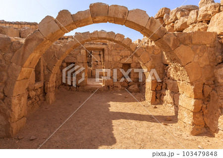 Qasr Al Hallabat desert castle, Jordan 103479848
