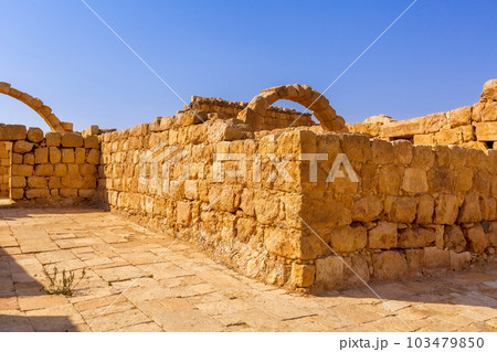 Qasr Al Hallabat desert castle, Jordan 103479850