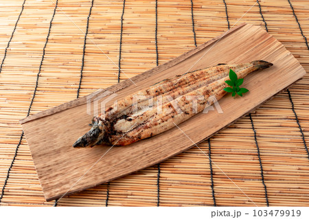 うなぎ　白焼き　有頭 103479919