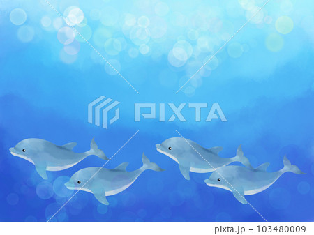 海中を泳ぐイルカの群れ 103480009