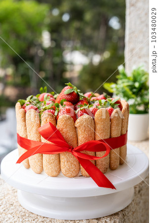 Strawberry tiramisu cake with decorated savoiardi cookies. 103480029