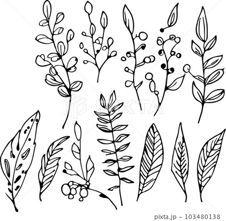 Fantastical hand drawn line forest flora vector 103480138