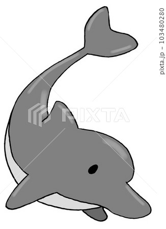 イルカのイラスト素材 [103480280] - PIXTA