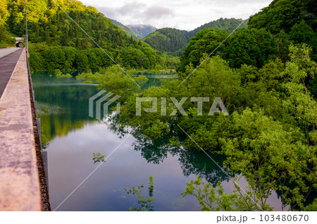 春　朝の絶景　秋扇湖の水没林　秋田県 103480670
