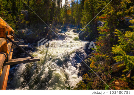 Cascade Creek flowing into Jenny Lake at Grand Teton National Park 103480785