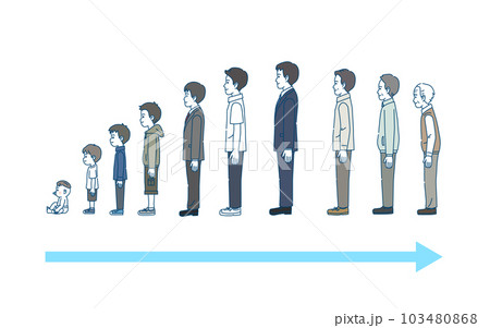 男性の年齢による変化 成長と老化 男性の年齢による変化 成長と老化 103480868