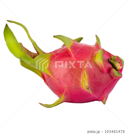 Dragonfruit or Pitaya isolated on a white background Dragonfruit or Pitaya isolated on a white background 103481478
