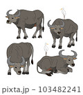 水牛 スイギュウ すいぎゅう 103482241