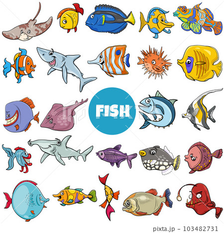 cartoon fish marine animal characters big set cartoon fish marine animal characters big set 103482731